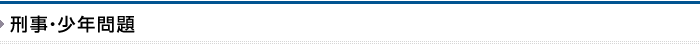 刑事・少年問題／弁護士事務所　福岡（福岡市）